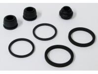 Image of Brake caliper seal kit for Rear caliper